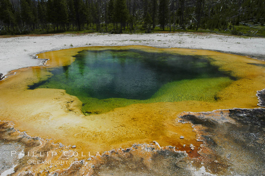 Emerald Pools vibrant colors are caused by themophilic (heat-loving) cyanobacteria and algae.  As the temperature of the pool decreases towards its edges, the colors tend to oranges and yellow.  Black Sand Basin. Yellowstone National Park, Wyoming, USA, natural history stock photograph, photo id 07302