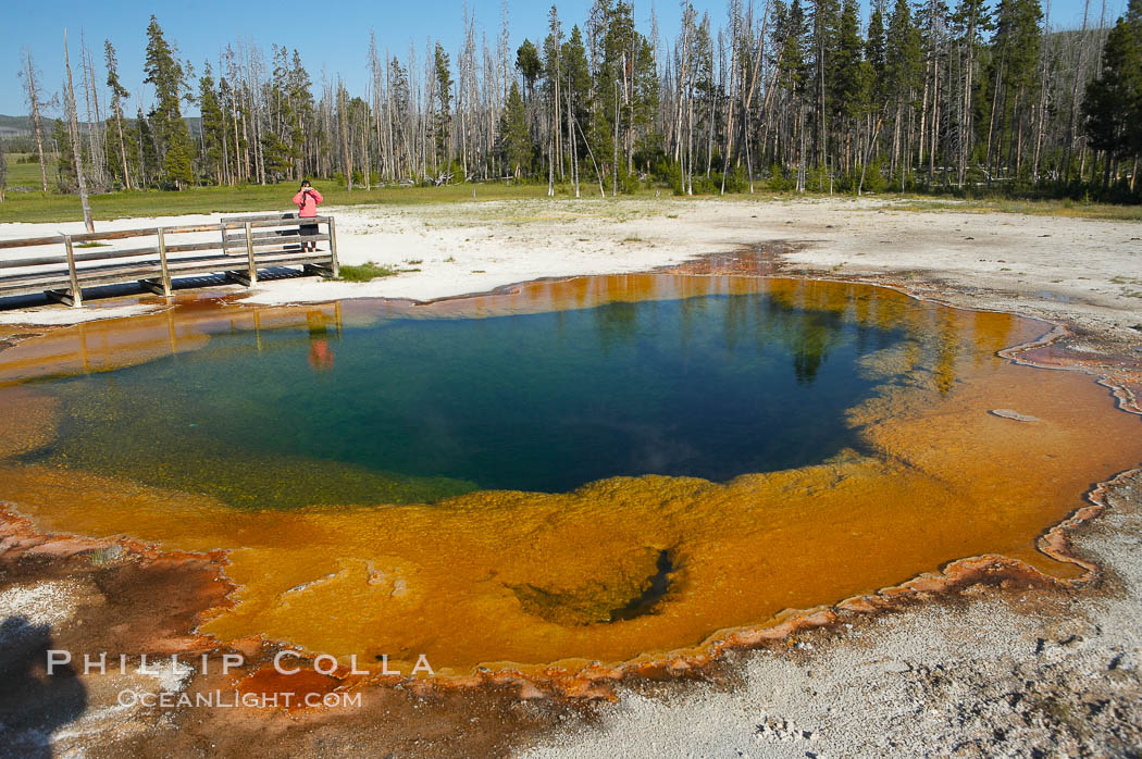 A visitor photographs Emerald Pool. Black Sand Basin, Yellowstone National Park, Wyoming, USA, natural history stock photograph, photo id 13508