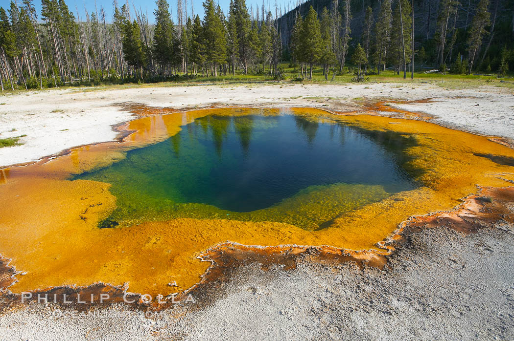 Emerald Pool. Black Sand Basin, Yellowstone National Park, Wyoming, USA, natural history stock photograph, photo id 13507