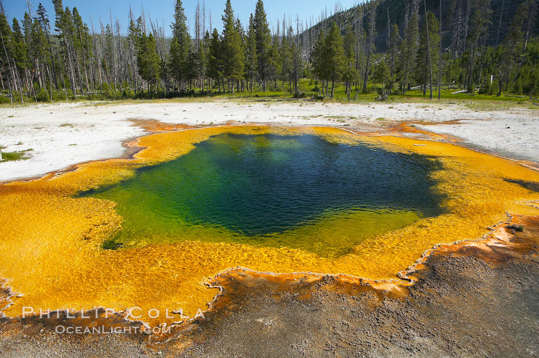 Emerald Pool. Black Sand Basin, Yellowstone National Park, Wyoming, USA, natural history stock photograph, photo id 13509