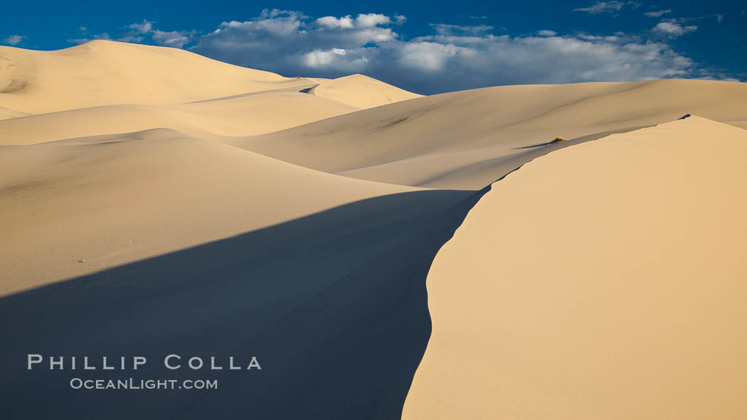 Eureka Dunes.  The Eureka Valley Sand Dunes are California's tallest sand dunes, and one of the tallest in the United States.  Rising 680' above the floor of the Eureka Valley, the Eureka sand dunes are home to several endangered species, as well as "singing sand" that makes strange sounds when it shifts.  Located in the remote northern portion of Death Valley National Park, the Eureka Dunes see very few visitors. USA, natural history stock photograph, photo id 25362