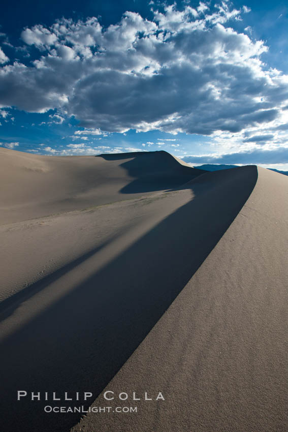 Eureka Dunes.  The Eureka Valley Sand Dunes are California's tallest sand dunes, and one of the tallest in the United States.  Rising 680' above the floor of the Eureka Valley, the Eureka sand dunes are home to several endangered species, as well as "singing sand" that makes strange sounds when it shifts.  Located in the remote northern portion of Death Valley National Park, the Eureka Dunes see very few visitors. USA, natural history stock photograph, photo id 25374