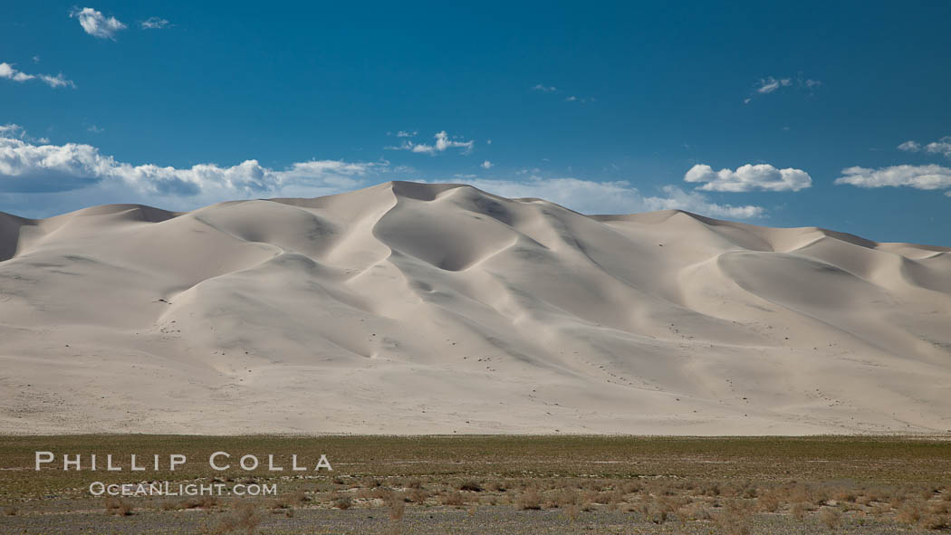 Eureka Dunes.  The Eureka Dunes are California's tallest sand dunes, and one of the tallest in the United States.  Rising 680' above the floor of the Eureka Valley, the Eureka sand dunes are home to several endangered species, as well as "singing sand" that makes strange sounds when it shifts. Death Valley National Park, USA, natural history stock photograph, photo id 25382