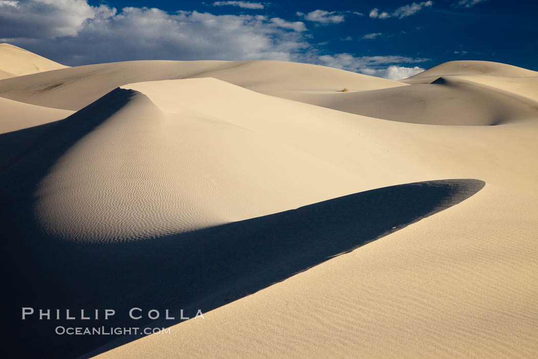 Eureka Dunes.  The Eureka Valley Sand Dunes are California's tallest sand dunes, and one of the tallest in the United States.  Rising 680' above the floor of the Eureka Valley, the Eureka sand dunes are home to several endangered species, as well as "singing sand" that makes strange sounds when it shifts.  Located in the remote northern portion of Death Valley National Park, the Eureka Dunes see very few visitors. USA, natural history stock photograph, photo id 25364