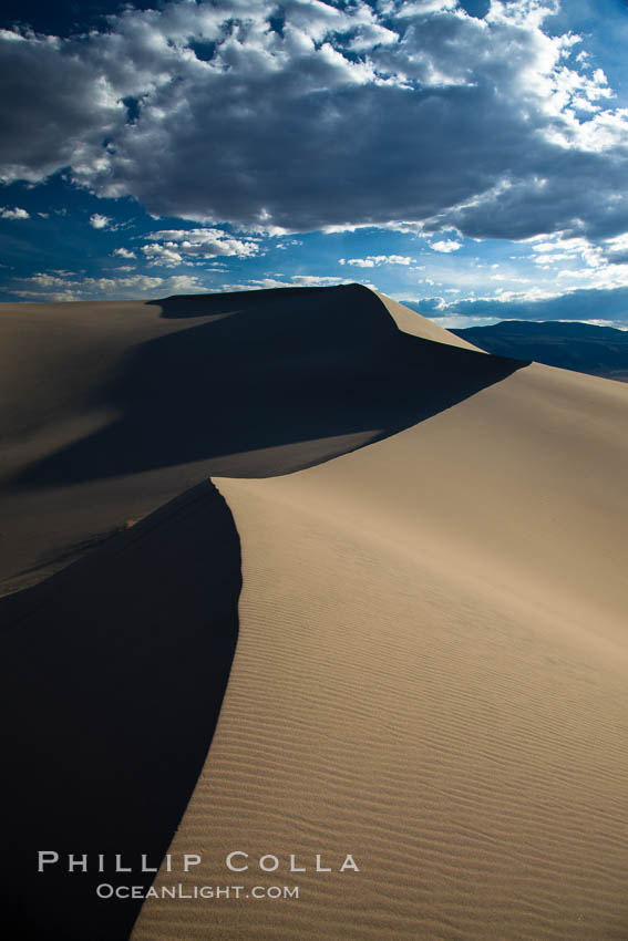 Eureka Dunes.  The Eureka Valley Sand Dunes are California's tallest sand dunes, and one of the tallest in the United States.  Rising 680' above the floor of the Eureka Valley, the Eureka sand dunes are home to several endangered species, as well as "singing sand" that makes strange sounds when it shifts.  Located in the remote northern portion of Death Valley National Park, the Eureka Dunes see very few visitors. USA, natural history stock photograph, photo id 25372