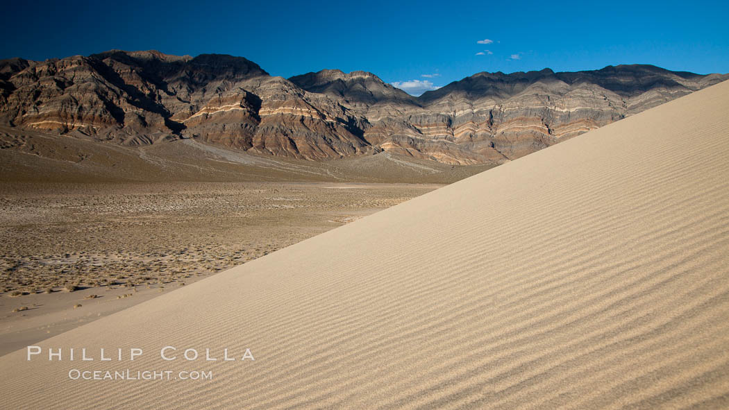 Eureka Dunes.  The Eureka Valley Sand Dunes are California's tallest sand dunes, and one of the tallest in the United States.  Rising 680' above the floor of the Eureka Valley, the Eureka sand dunes are home to several endangered species, as well as "singing sand" that makes strange sounds when it shifts.  Located in the remote northern portion of Death Valley National Park, the Eureka Dunes see very few visitors. USA, natural history stock photograph, photo id 25367