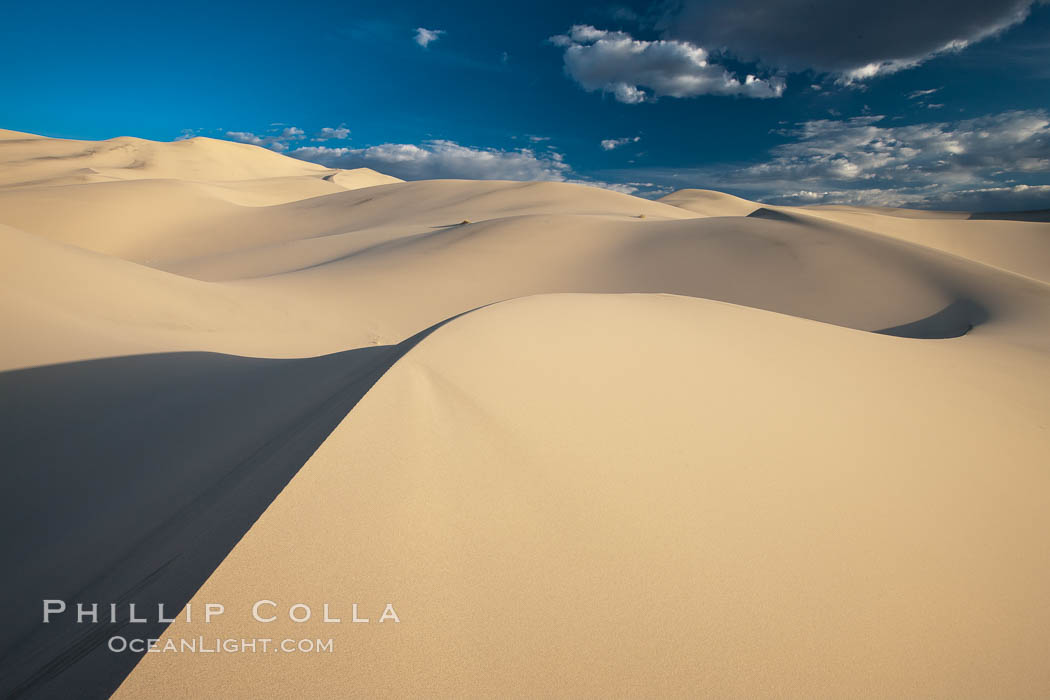 Eureka Dunes.  The Eureka Valley Sand Dunes are California's tallest sand dunes, and one of the tallest in the United States.  Rising 680' above the floor of the Eureka Valley, the Eureka sand dunes are home to several endangered species, as well as "singing sand" that makes strange sounds when it shifts.  Located in the remote northern portion of Death Valley National Park, the Eureka Dunes see very few visitors. USA, natural history stock photograph, photo id 25361