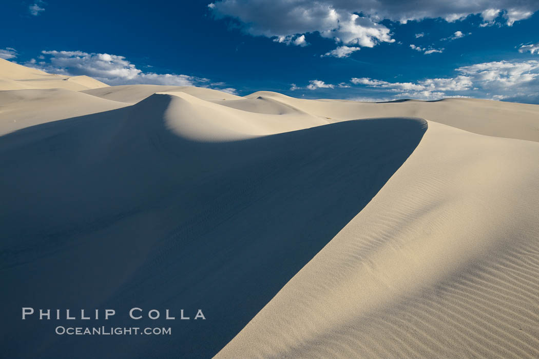 Eureka Dunes.  The Eureka Valley Sand Dunes are California's tallest sand dunes, and one of the tallest in the United States.  Rising 680' above the floor of the Eureka Valley, the Eureka sand dunes are home to several endangered species, as well as "singing sand" that makes strange sounds when it shifts.  Located in the remote northern portion of Death Valley National Park, the Eureka Dunes see very few visitors. USA, natural history stock photograph, photo id 25365