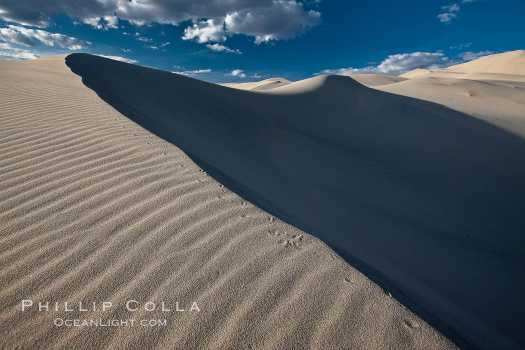 Eureka Dunes.  The Eureka Valley Sand Dunes are California's tallest sand dunes, and one of the tallest in the United States.  Rising 680' above the floor of the Eureka Valley, the Eureka sand dunes are home to several endangered species, as well as "singing sand" that makes strange sounds when it shifts.  Located in the remote northern portion of Death Valley National Park, the Eureka Dunes see very few visitors. USA, natural history stock photograph, photo id 25274