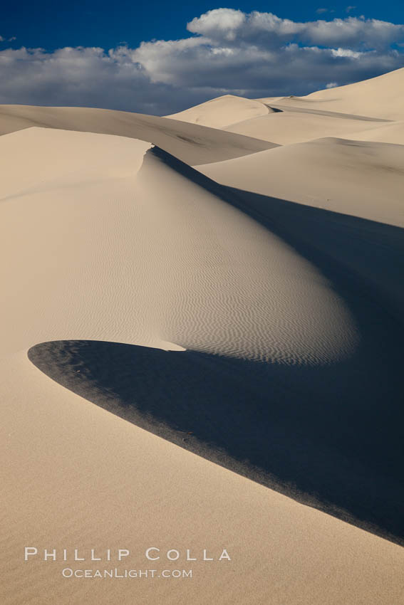 Eureka Dunes.  The Eureka Valley Sand Dunes are California's tallest sand dunes, and one of the tallest in the United States.  Rising 680' above the floor of the Eureka Valley, the Eureka sand dunes are home to several endangered species, as well as "singing sand" that makes strange sounds when it shifts.  Located in the remote northern portion of Death Valley National Park, the Eureka Dunes see very few visitors. USA, natural history stock photograph, photo id 25272