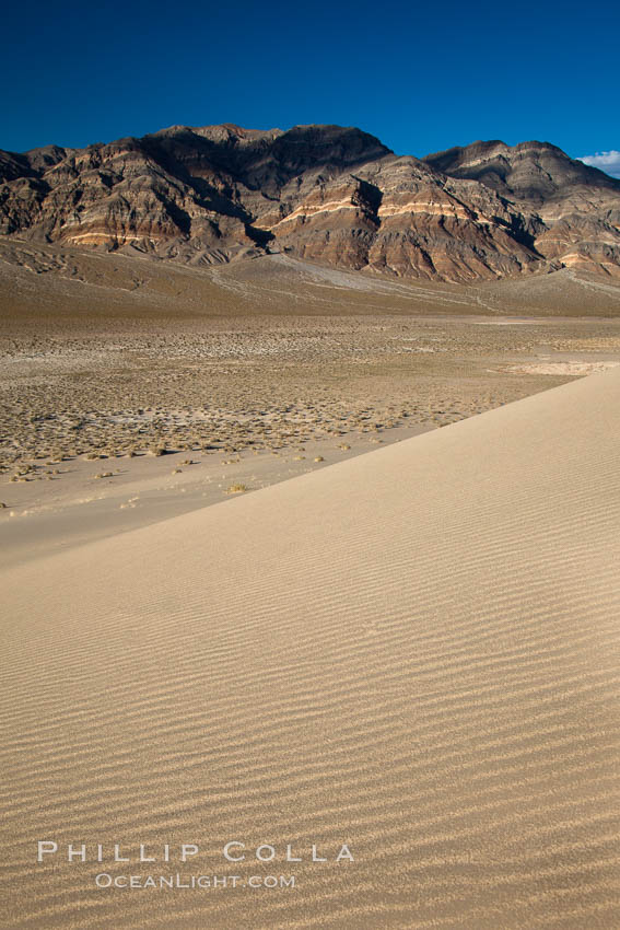 Eureka Dunes.  The Eureka Valley Sand Dunes are California's tallest sand dunes, and one of the tallest in the United States.  Rising 680' above the floor of the Eureka Valley, the Eureka sand dunes are home to several endangered species, as well as "singing sand" that makes strange sounds when it shifts.  Located in the remote northern portion of Death Valley National Park, the Eureka Dunes see very few visitors. USA, natural history stock photograph, photo id 25276