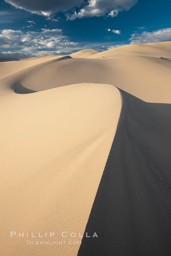 Eureka Dunes.  The Eureka Valley Sand Dunes are California's tallest sand dunes, and one of the tallest in the United States.  Rising 680' above the floor of the Eureka Valley, the Eureka sand dunes are home to several endangered species, as well as "singing sand" that makes strange sounds when it shifts.  Located in the remote northern portion of Death Valley National Park, the Eureka Dunes see very few visitors. USA, natural history stock photograph, photo id 25360