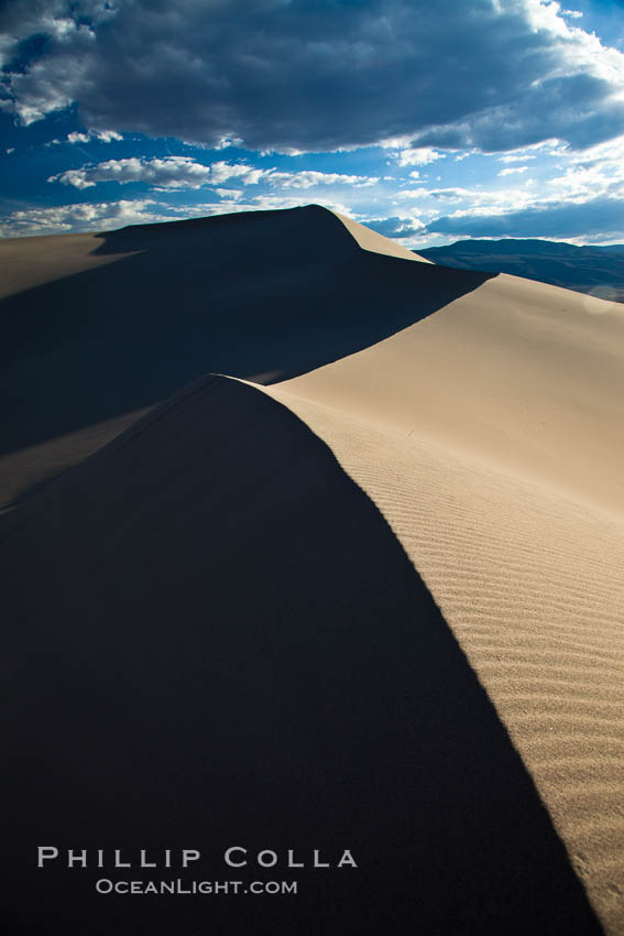 Eureka Dunes. The Eureka Valley Sand Dunes are California's tallest sand dunes, and one of the tallest in the United States. Rising 680' above the floor of the Eureka Valley, the Eureka sand dunes are home to several endangered species, as well as "singing sand" that makes strange sounds when it shifts. Located in the remote northern portion of Death Valley National Park, the Eureka Dunes see very few visitors. USA, natural history stock photograph, photo id 26383