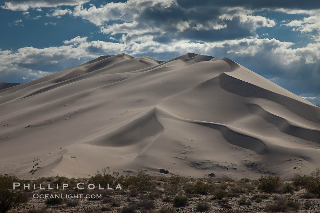 Eureka Valley Sand Dunes.  The Eureka Dunes are California's tallest sand dunes, and one of the tallest in the United States.  Rising 680' above the floor of the Eureka Valley, the Eureka sand dunes are home to several endangered species, as well as "singing sand" that makes strange sounds when it shifts. Death Valley National Park, USA, natural history stock photograph, photo id 25279