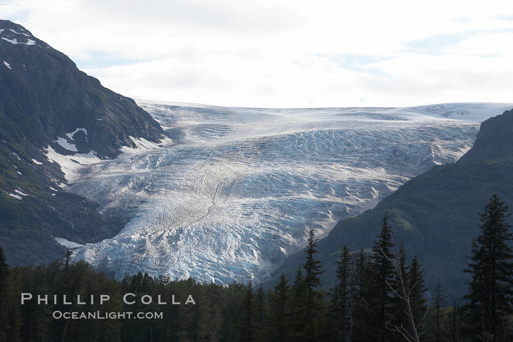 Exit Glacier., natural history stock photograph, photo id 19269