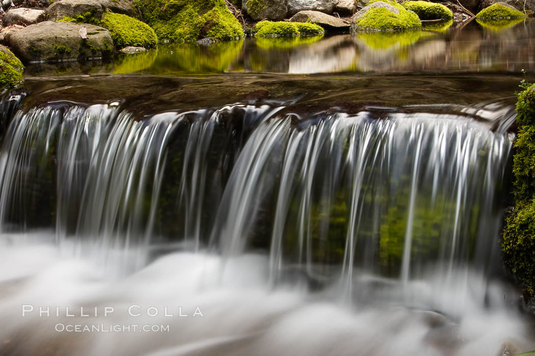 Fern Springs, a small natural spring in Yosemite Valley near the Pohono Bridge, trickles quietly over rocks as it flows into the Merced River. Yosemite Valley. Yosemite National Park, California, USA, natural history stock photograph, photo id 16082