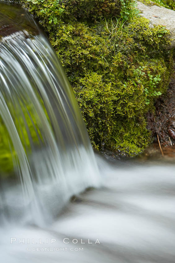 Fern Springs, a small natural spring in Yosemite Valley near the Pohono Bridge, trickles quietly over rocks as it flows into the Merced River. Yosemite Valley. Yosemite National Park, California, USA, natural history stock photograph, photo id 16086