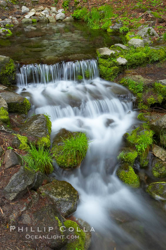 Fern Springs, a small natural spring in Yosemite Valley near the Pohono Bridge, trickles quietly over rocks as it flows into the Merced River. Yosemite National Park, California, USA, natural history stock photograph, photo id 12648