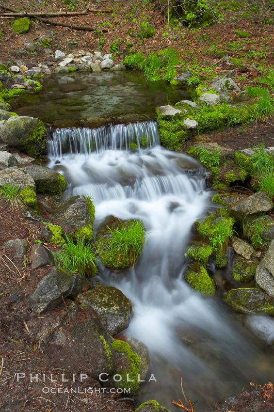 Fern Springs, a small natural spring in Yosemite Valley near the Pohono Bridge, trickles quietly over rocks as it flows into the Merced River. Yosemite National Park, California, USA, natural history stock photograph, photo id 12651