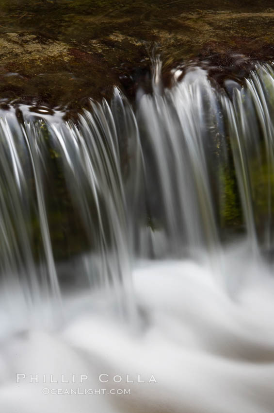 Fern Springs, a small natural spring in Yosemite Valley near the Pohono Bridge, trickles quietly over rocks as it flows into the Merced River. Yosemite Valley. Yosemite National Park, California, USA, natural history stock photograph, photo id 16083