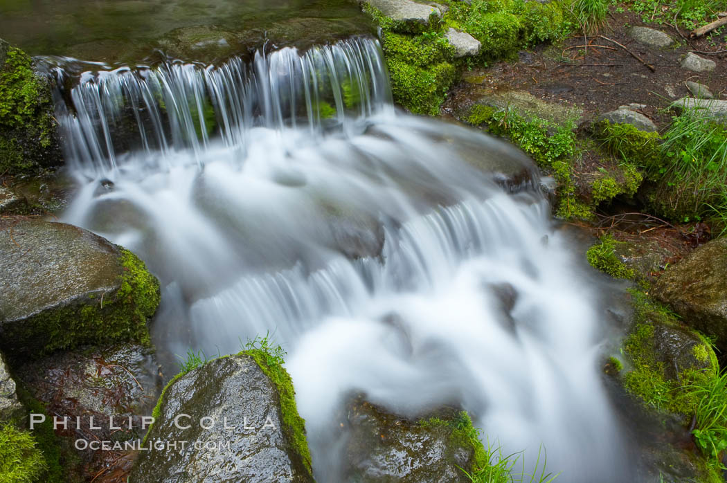 Fern Springs, a small natural spring in Yosemite Valley near the Pohono Bridge, trickles quietly over rocks as it flows into the Merced River. Yosemite National Park, California, USA, natural history stock photograph, photo id 12649