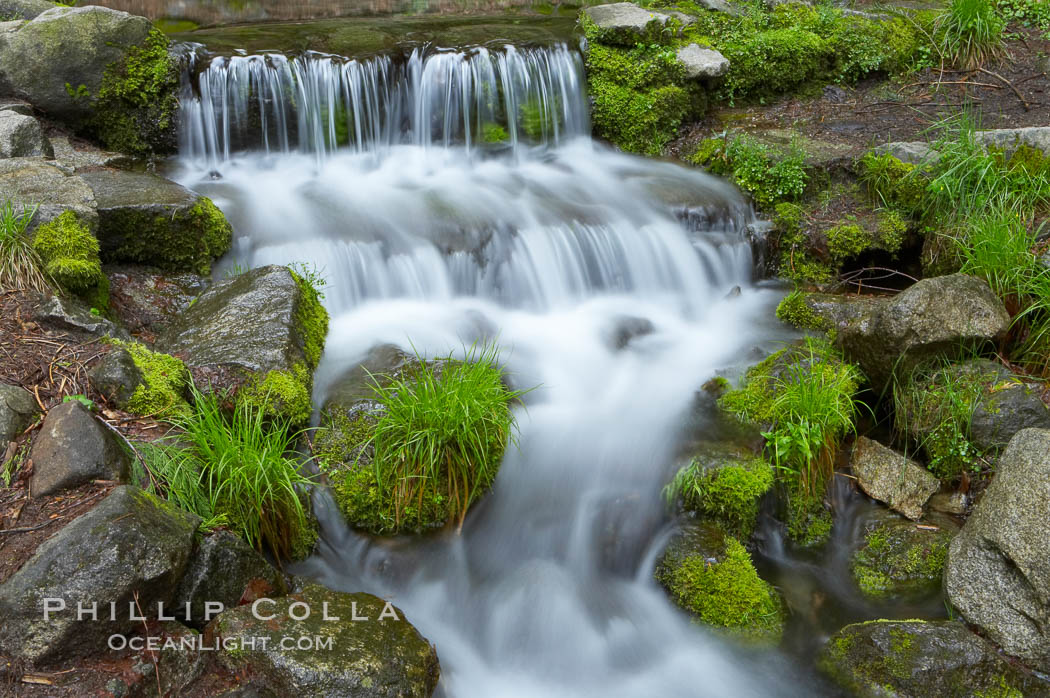 Fern Springs, a small natural spring in Yosemite Valley near the Pohono Bridge, trickles quietly over rocks as it flows into the Merced River. Yosemite National Park, California, USA, natural history stock photograph, photo id 12653