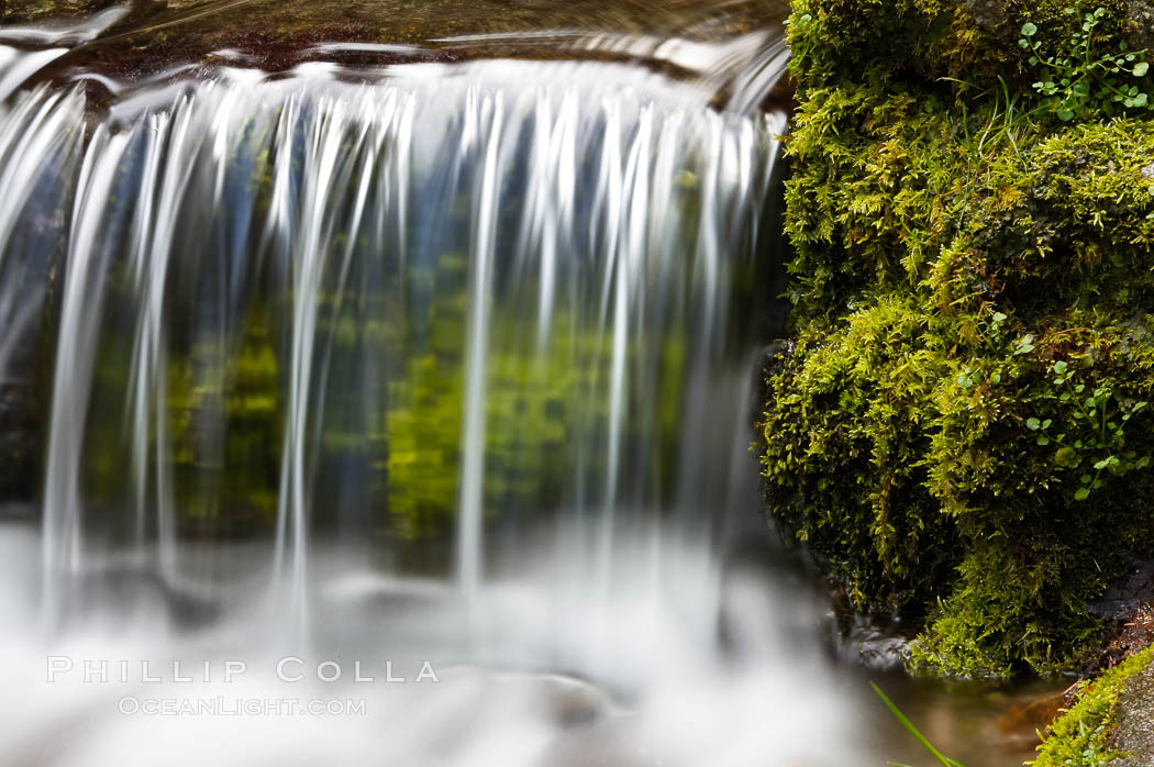 Fern Springs, a small natural spring in Yosemite Valley near the Pohono Bridge, trickles quietly over rocks as it flows into the Merced River. Yosemite Valley. Yosemite National Park, California, USA, natural history stock photograph, photo id 16085