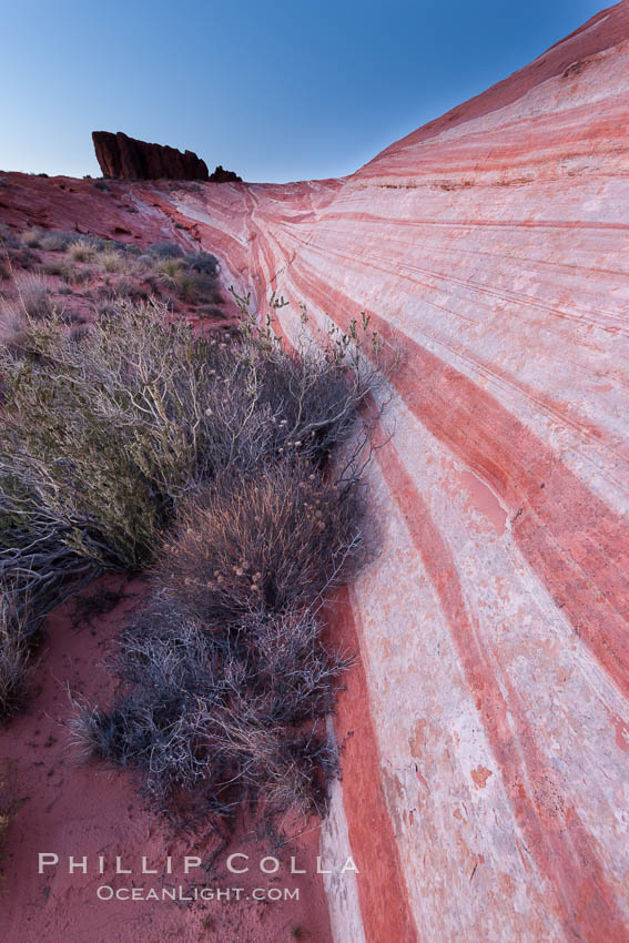 The Fire Wave, a beautiful sandstone formation exhibiting dramatic striations, striped layers in the geologic historical record. Valley of Fire State Park, Nevada, USA, natural history stock photograph, photo id 26488