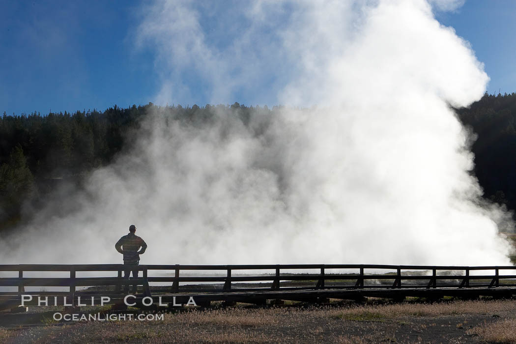 Firehole Lake creates a wall of steam in the early morning. Lower Geyser Basin, Yellowstone National Park, Wyoming, USA, natural history stock photograph, photo id 13569