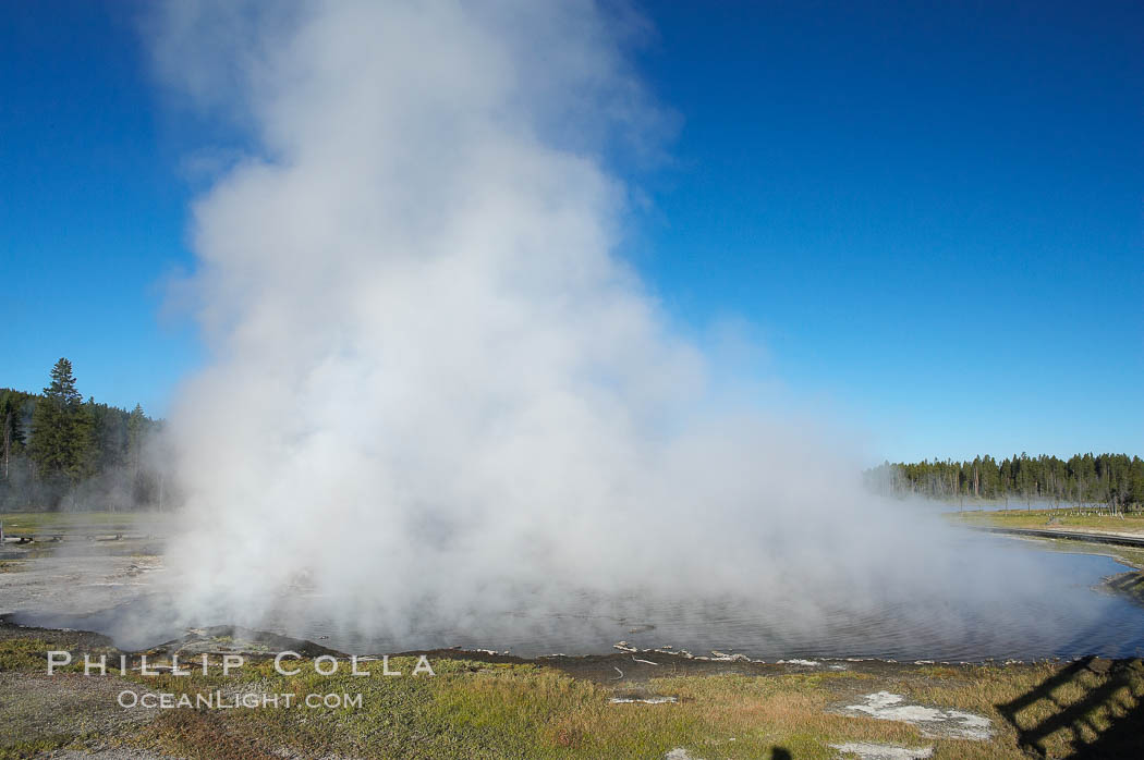 Firehole Lake creates a wall of steam in the early morning. Lower Geyser Basin, Yellowstone National Park, Wyoming, USA, natural history stock photograph, photo id 13570