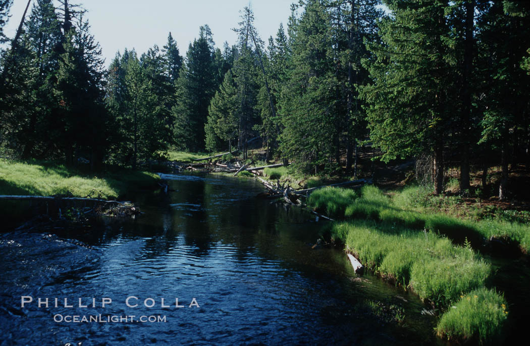 The Firehole River flows through the Upper Geyser Basin. All geysers and hot springs in the area eventually feed into this river. Yellowstone National Park, Wyoming, USA, natural history stock photograph, photo id 07258