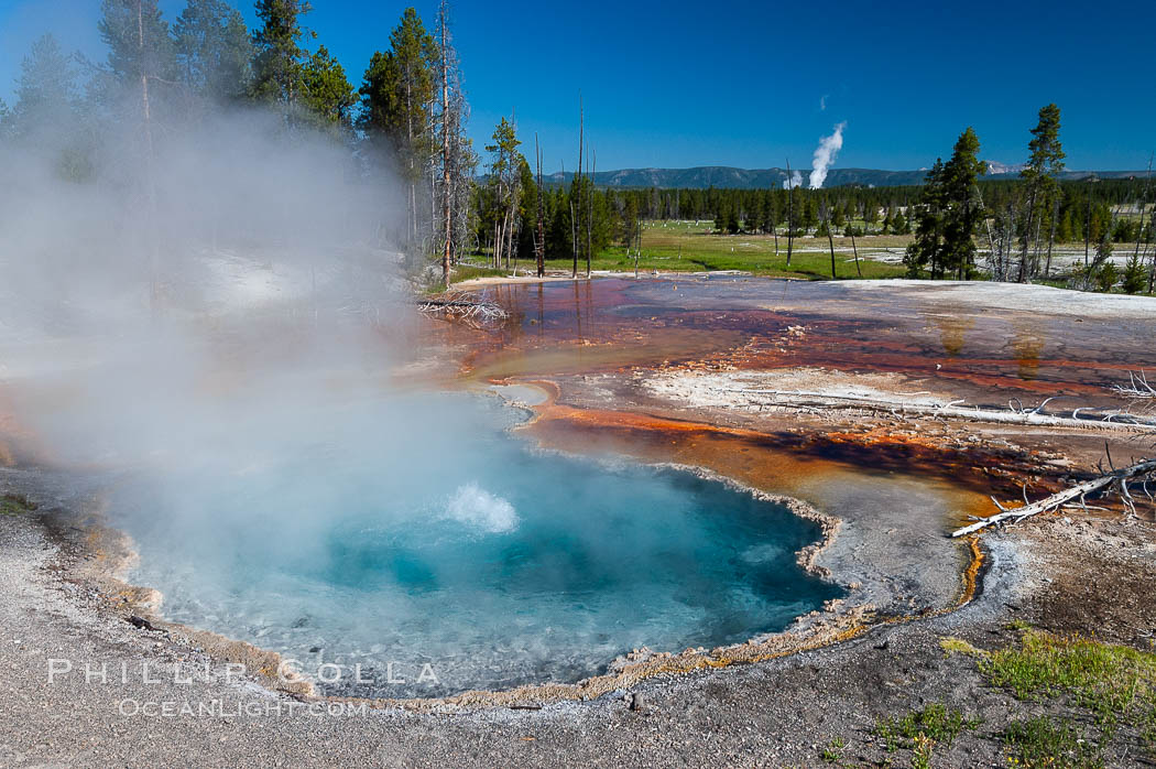 Firehole Spring along Firehole Lake Drive. Lower Geyser Basin, Yellowstone National Park, Wyoming, USA, natural history stock photograph, photo id 07246