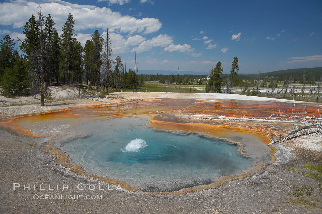 Firehole Spring bubbles and splashes continuously as superheated steam rises through the pool.  Firehole Spring is located along Firehole Lake Drive. Lower Geyser Basin, Yellowstone National Park, Wyoming, USA, natural history stock photograph, photo id 13538