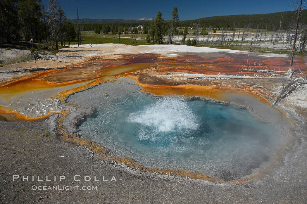 Firehole Spring bubbles and splashes continuously as superheated steam rises through the pool.  Firehole Spring is located along Firehole Lake Drive. Lower Geyser Basin, Yellowstone National Park, Wyoming, USA, natural history stock photograph, photo id 13536