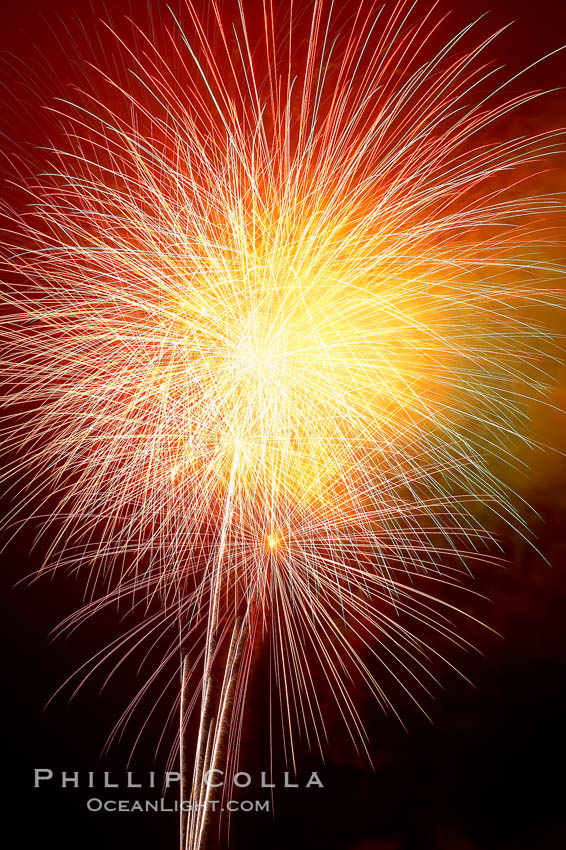Fireworks. Aviara, Carlsbad, California, USA, natural history stock photograph, photo id 18992