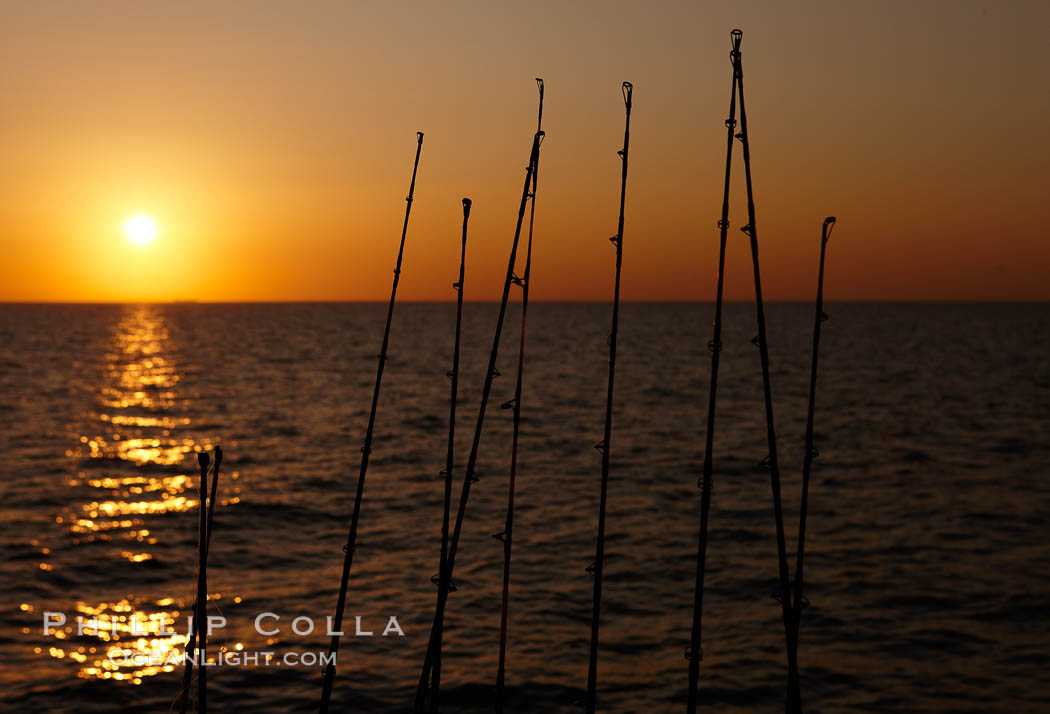 Fishing rods, sunrise., natural history stock photograph, photo id 23560