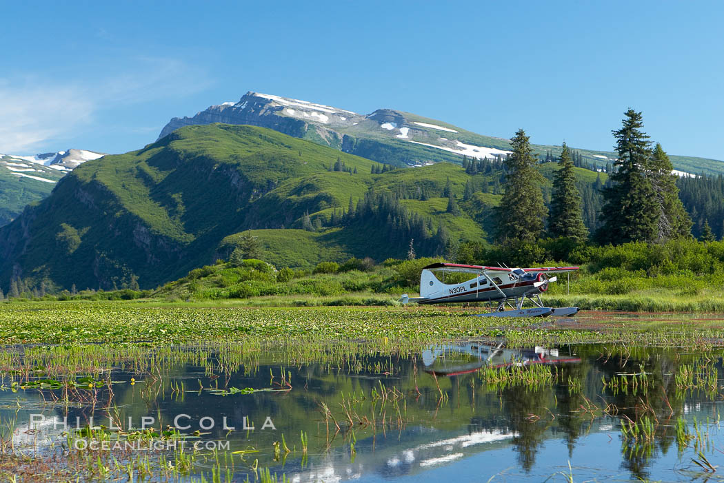 Float plane, water lilies and pond lie beneath the Chigmit Range near Silver Salmon Creek. Lake Clark National Park, Alaska, USA, natural history stock photograph, photo id 19080