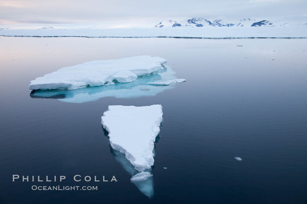 Floating ice and glassy water, sunset. Paulet Island, Antarctic Peninsula, Antarctica, natural history stock photograph, photo id 24822