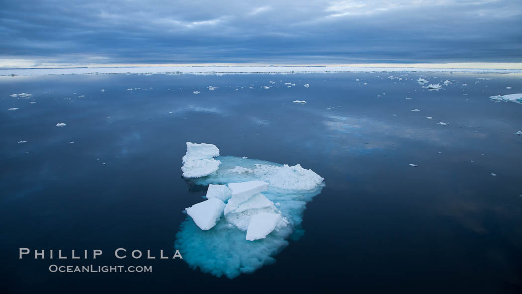 Floating ice and glassy water. Paulet Island, Antarctic Peninsula, Antarctica, natural history stock photograph, photo id 24890