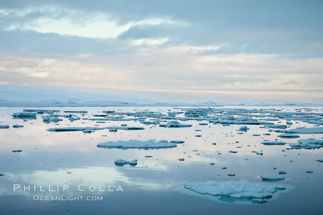 Floating ice and glassy water, sunset. Paulet Island, Antarctic Peninsula, Antarctica, natural history stock photograph, photo id 24887