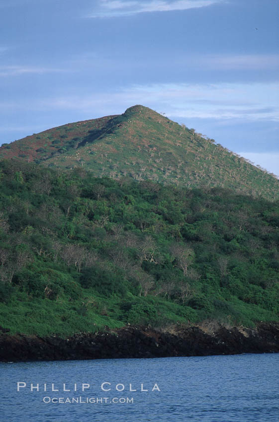 Floreana Island. Galapagos Islands, Ecuador, natural history stock photograph, photo id 05583