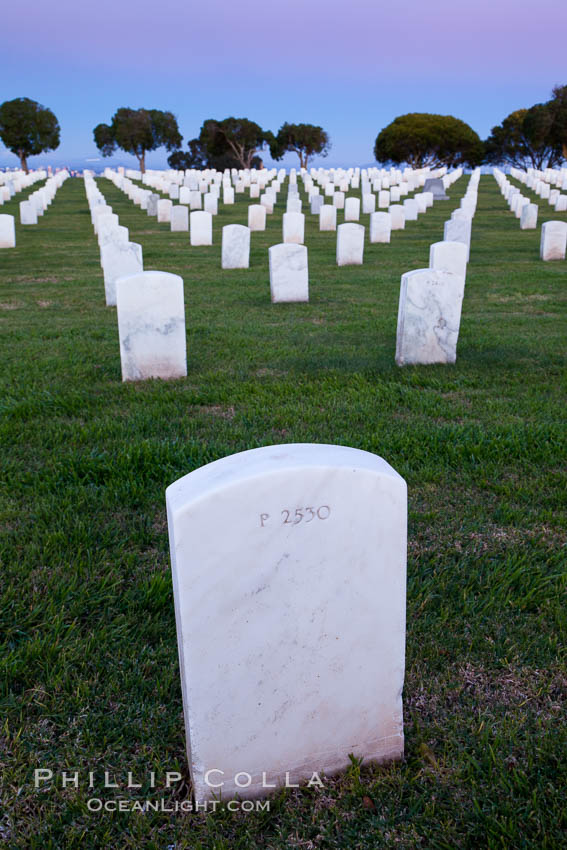 Fort Rosecrans National Cemetery. San Diego, California, USA, natural history stock photograph, photo id 26576