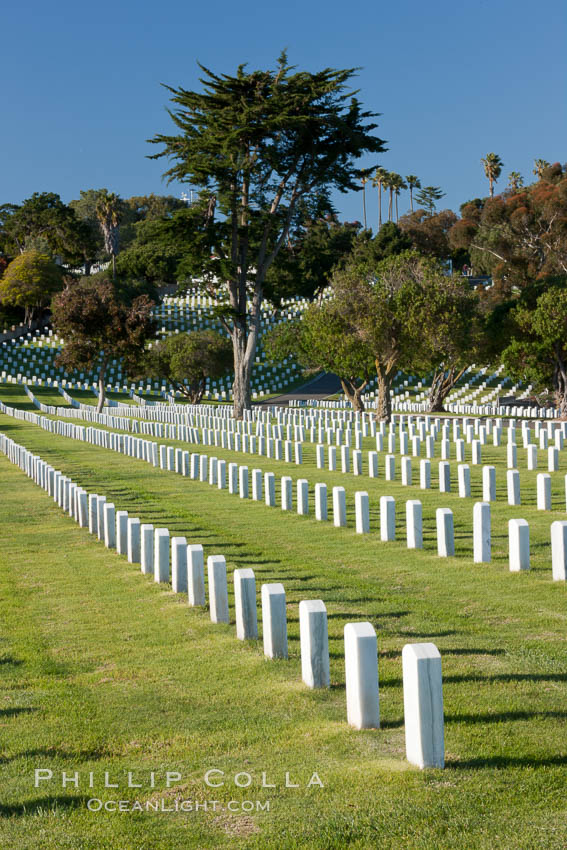 Fort Rosecrans National Cemetery. San Diego, California, USA, natural history stock photograph, photo id 26597