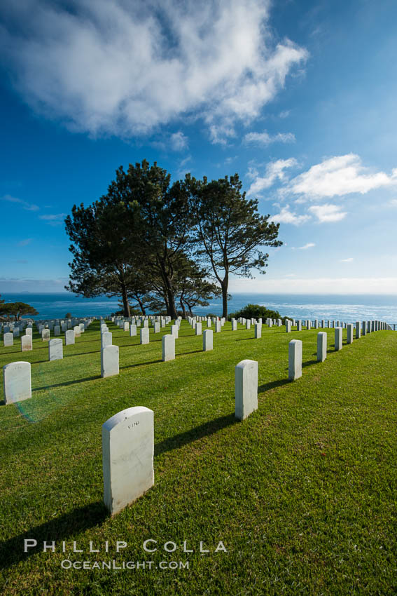 Fort Rosecrans National Cemetery. San Diego, California, USA, natural history stock photograph, photo id 27885