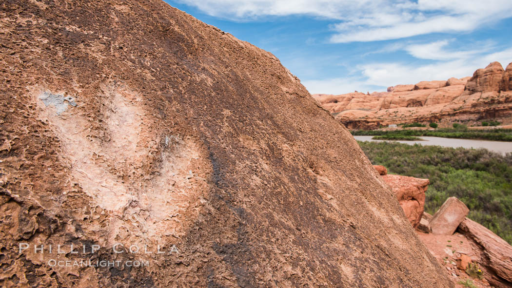 Dinosaur track over the Colorado River, Moab, Utah. USA, natural history stock photograph, photo id 29268