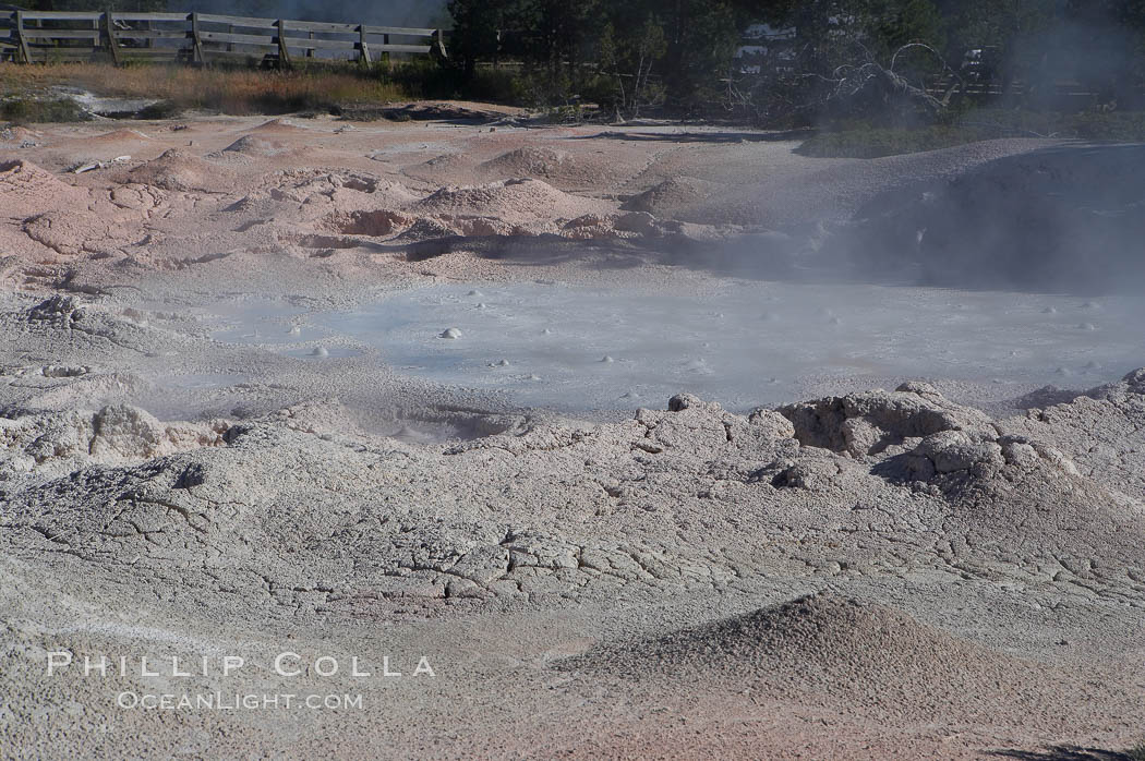 Fountain Paint Pot, a mud pot, boils and bubbles continuously.  It is composed of clay and fine silica.  Lower Geyser Basin. Yellowstone National Park, Wyoming, USA, natural history stock photograph, photo id 13526