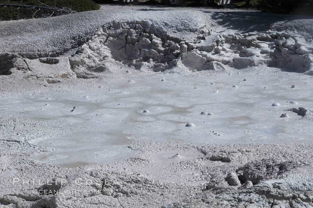 Fountain Paint Pots, mineral-colored mud bubbling with sulfuric acid, hot gases and silica. Lower Geyser Basin, Yellowstone National Park, Wyoming, USA, natural history stock photograph, photo id 07260