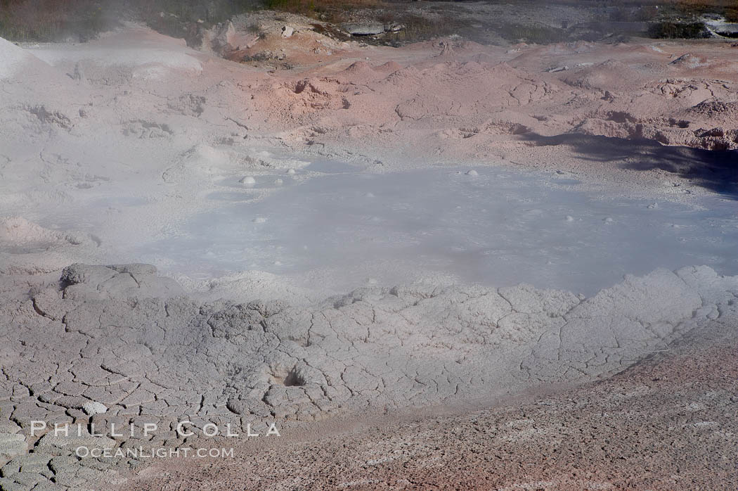 Fountain Paint Pot, a mud pot, boils and bubbles continuously.  It is composed of clay and fine silica.  Lower Geyser Basin. Yellowstone National Park, Wyoming, USA, natural history stock photograph, photo id 13527