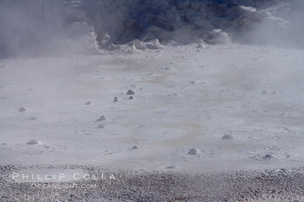 Fountain Paint Pot, a mud pot, boils and bubbles continuously.  It is composed of clay and fine silica.  Lower Geyser Basin. Yellowstone National Park, Wyoming, USA, natural history stock photograph, photo id 13529