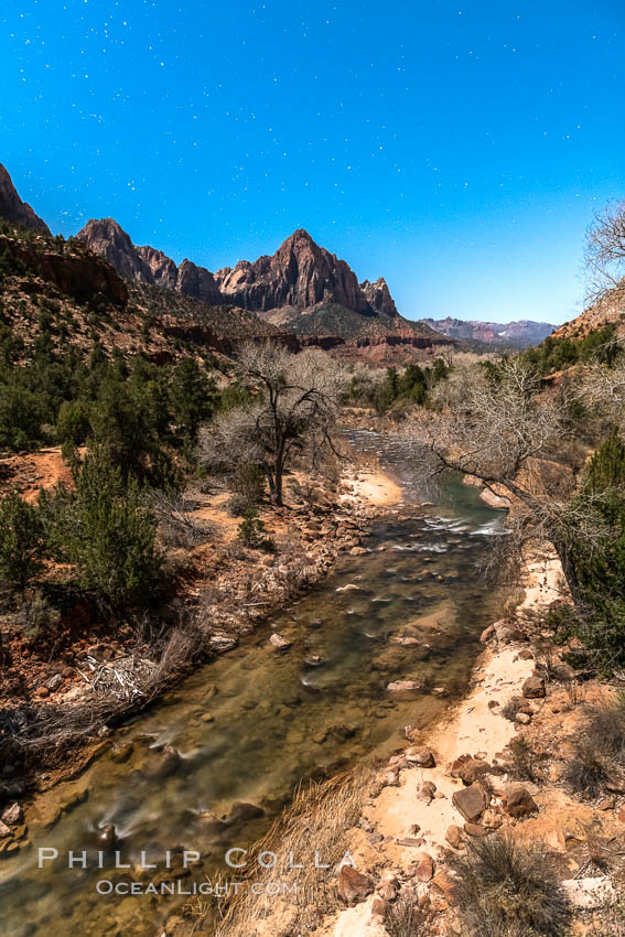 The Watchman and Virgin River under a full moon. The full moon illuminates Zion National Park at night. Utah, USA, natural history stock photograph, photo id 36004